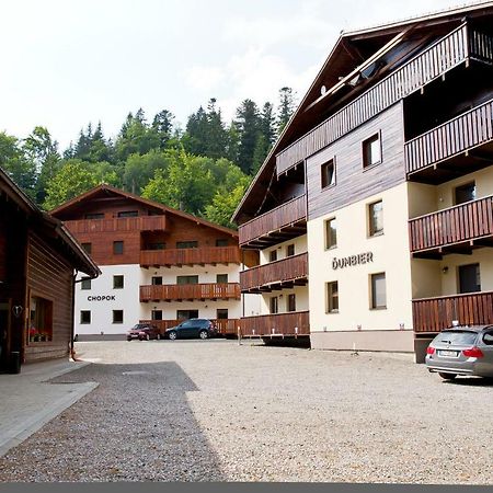 Apartman Chopok Juh Anka Horná Lehota Buitenkant foto